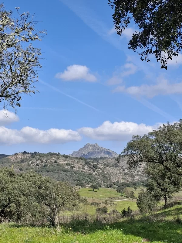 Hill behind the hill