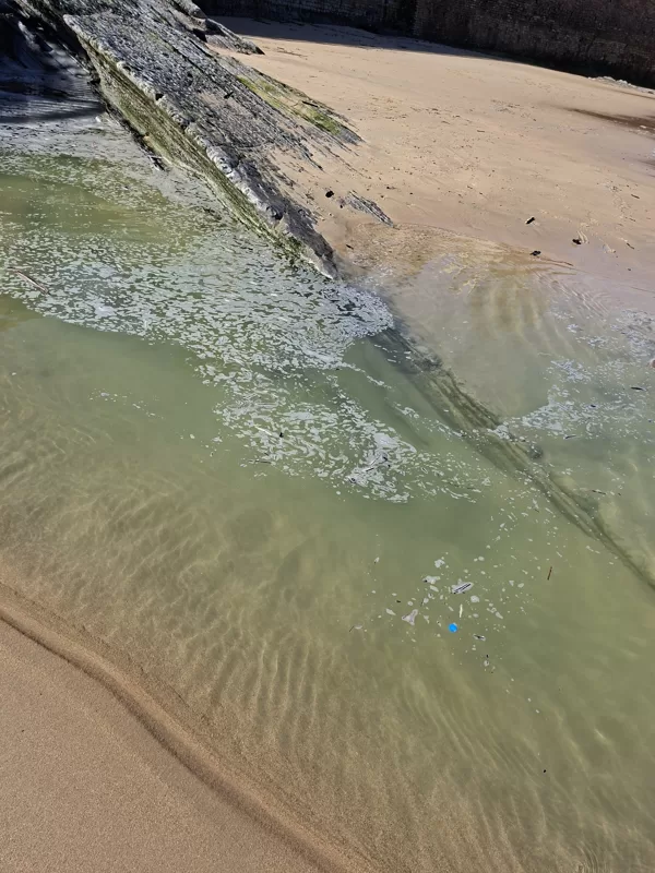 The “Mariana Trench”