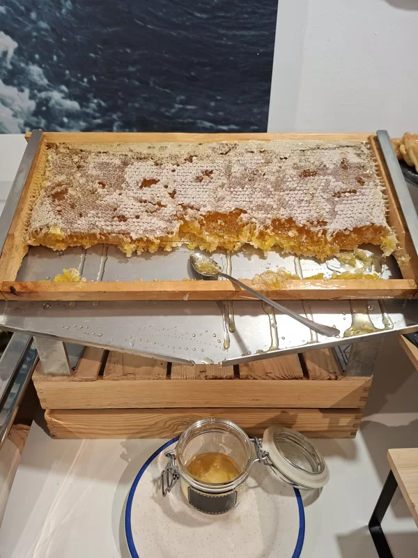 Honeycomb