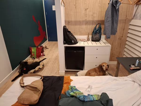 Packing up