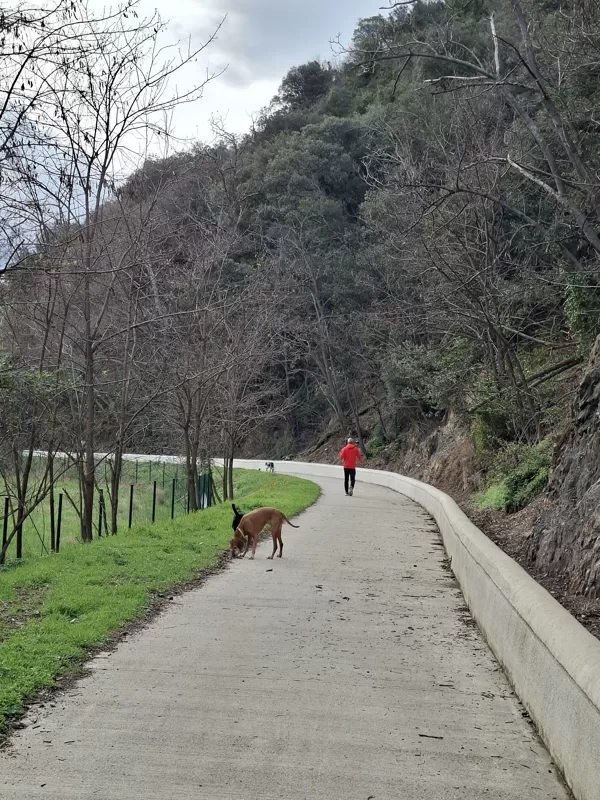 The walking path behind the hotel