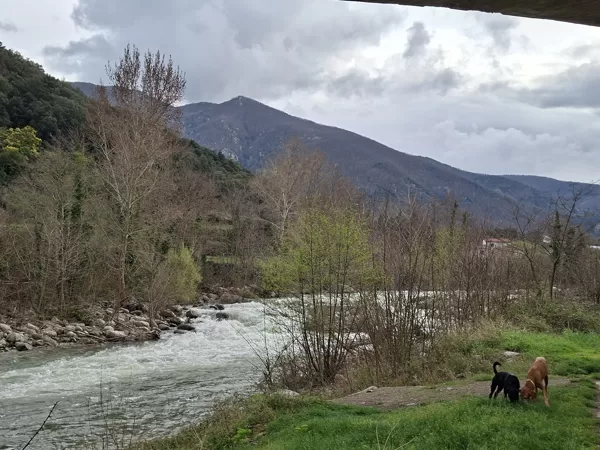 The River Tech
