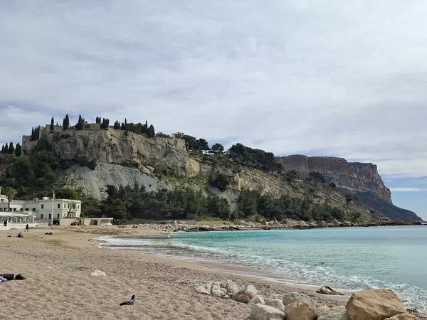 Cassis