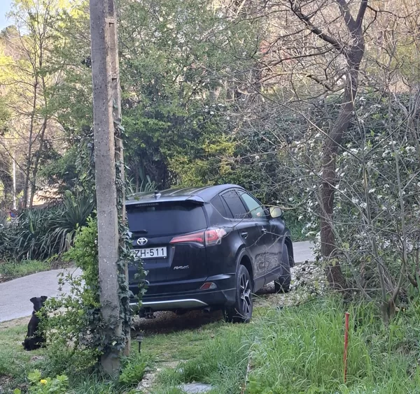 Zserbo végig így ült a kocsi mellett, amíg én pakoltam. Biztos, ami biztos.