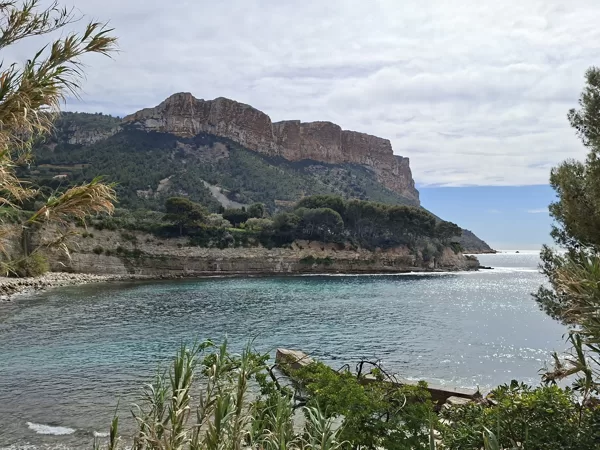 Cassis